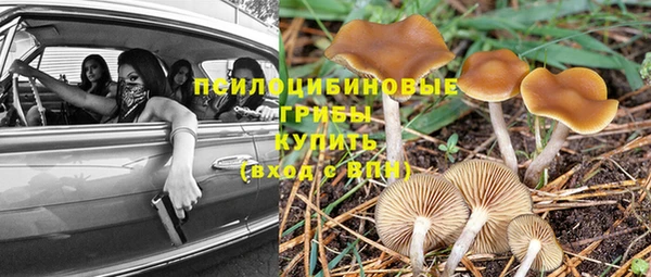индика Алексеевка